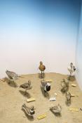 museum dhistoire naturelle blois 8-2025 2320